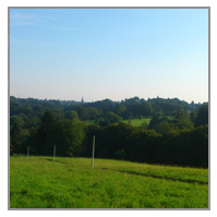 HAUS IN WIDDEERT - GRUENE UMGEBUNG